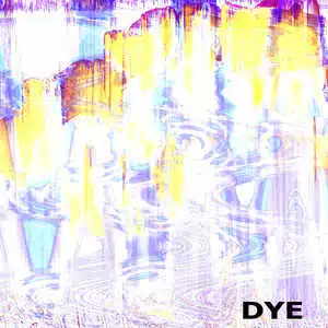DYE cover
