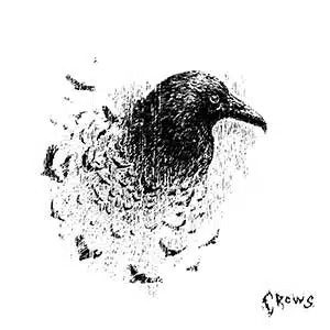 rouri404 crows