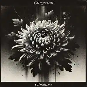 Chrysante Obscure