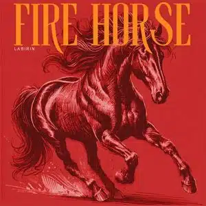 De Kribs Fire Horse