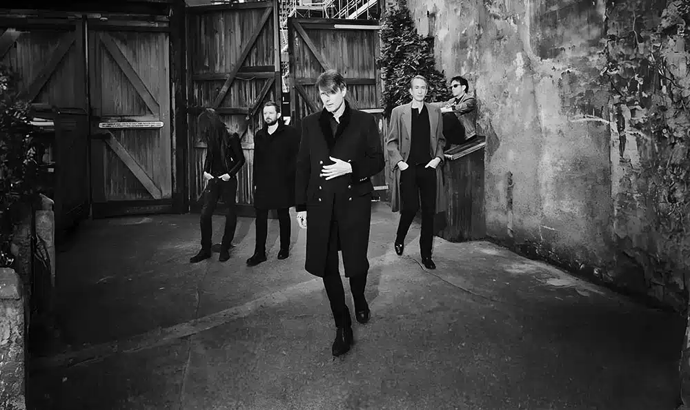 Band Suede Disintegrate