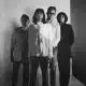Dandelions Band