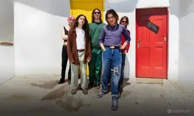 Geese