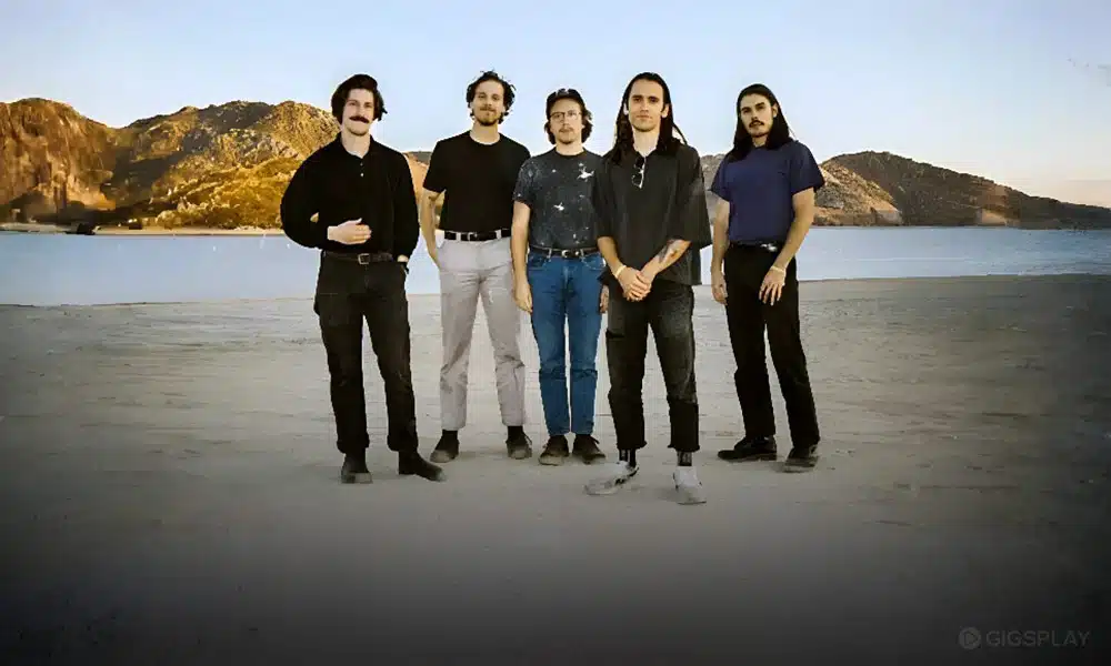 Post Animal New single What's a Good Life