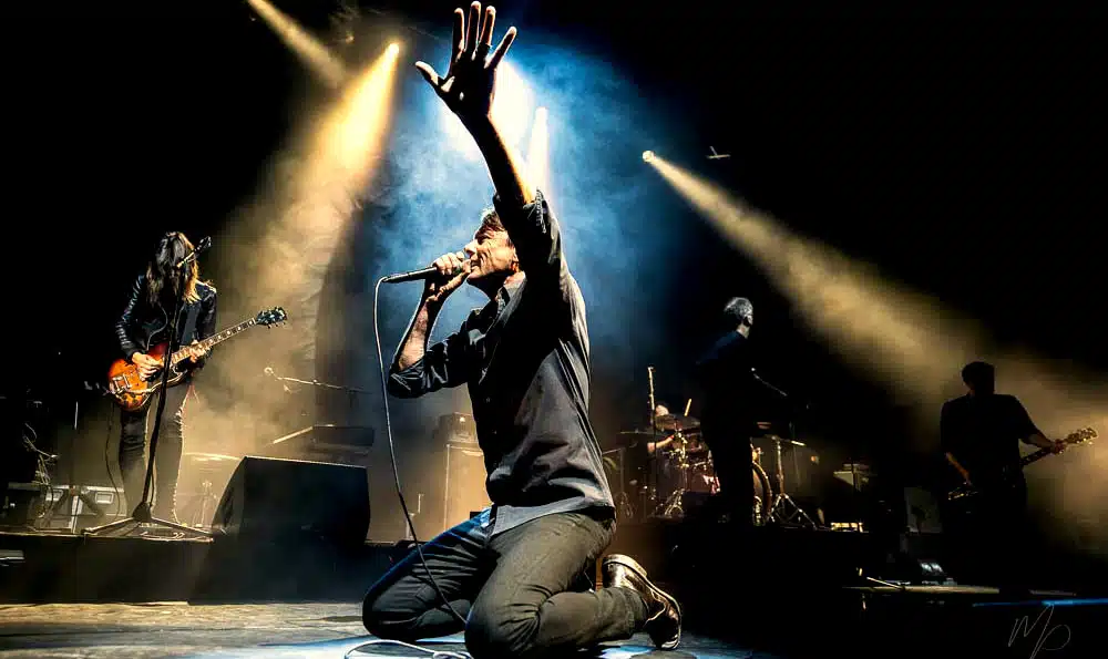 Suede Live