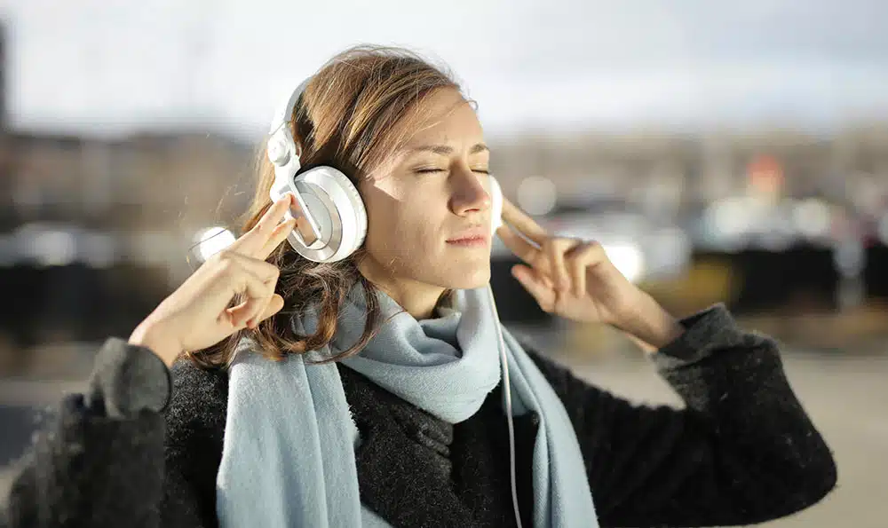 Penikmat musik