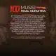 Konser Kedua 100 Musisi Heal Sumatra