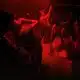 Morbid Monke Feel Alive Tour 2026