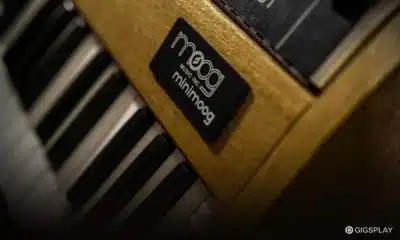 Moog Minimoog Model D