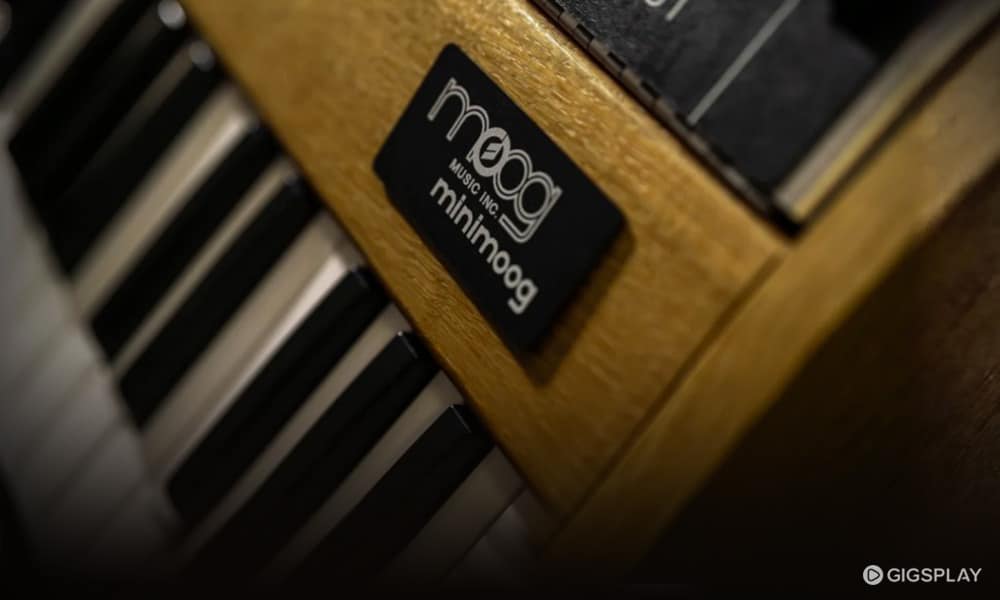 Moog Minimoog Model D